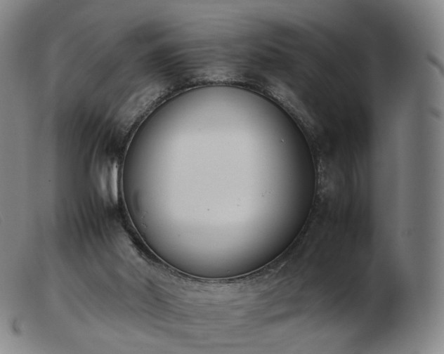 X0000103450014200809191759