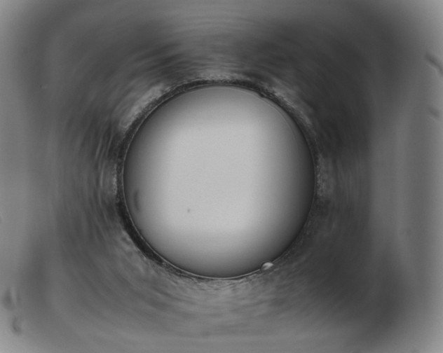 X0000103450015200809191759