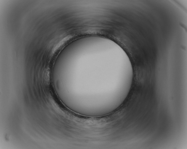 X0000103450016200809191759