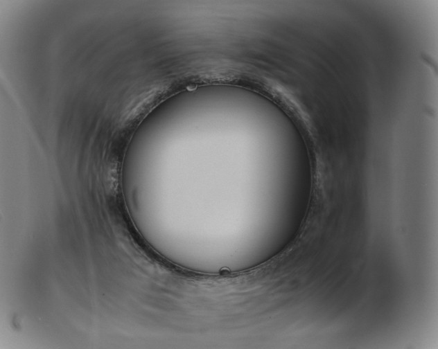 X0000103450017200809191759