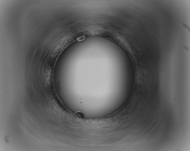 X0000103450018200809191759