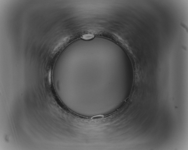 X0000103450019200809191759