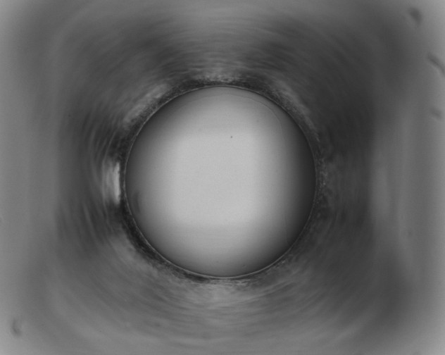 X0000103450020200809191759