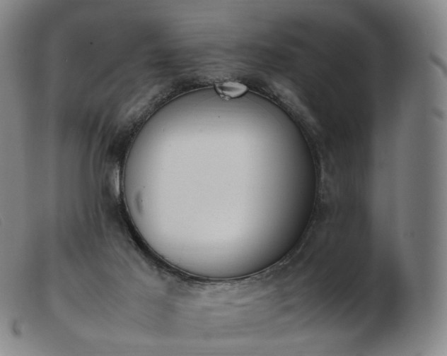 X0000103450021200809191759