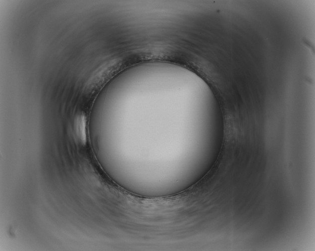 X0000103450022200809191759