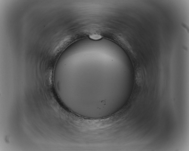 X0000103450023200809191759