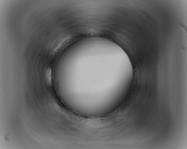 X0000103450024200809191759