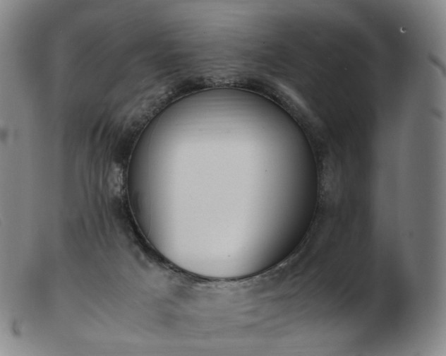 X0000103450025200809191759