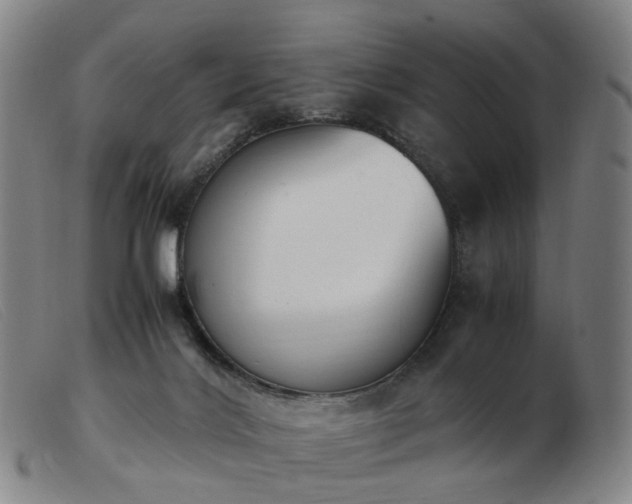 X0000103450028200809191758