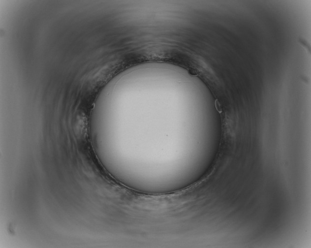 X0000103450029200809191758