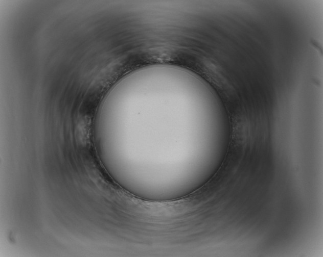 X0000103450030200809191758