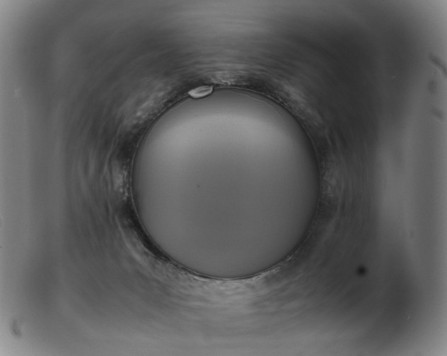 X0000103450031200809191758