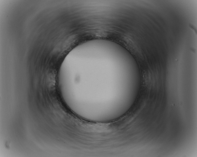 X0000103450032200809191758