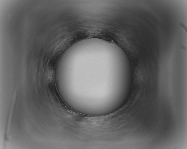 X0000103450033200809191758