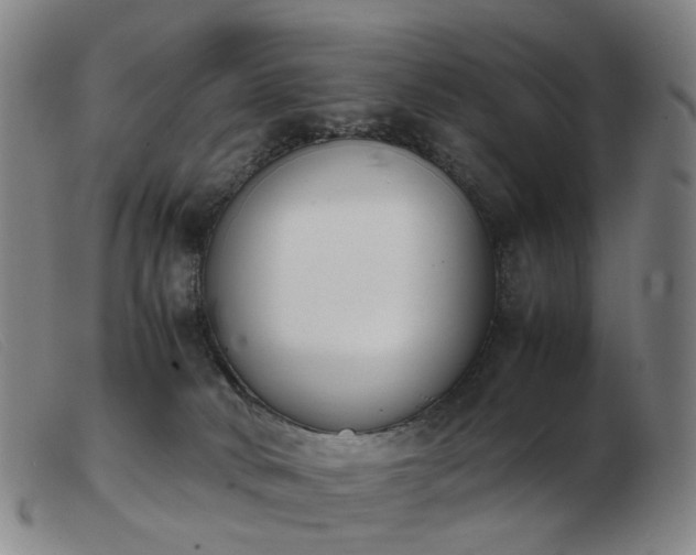 X0000103450034200809191758