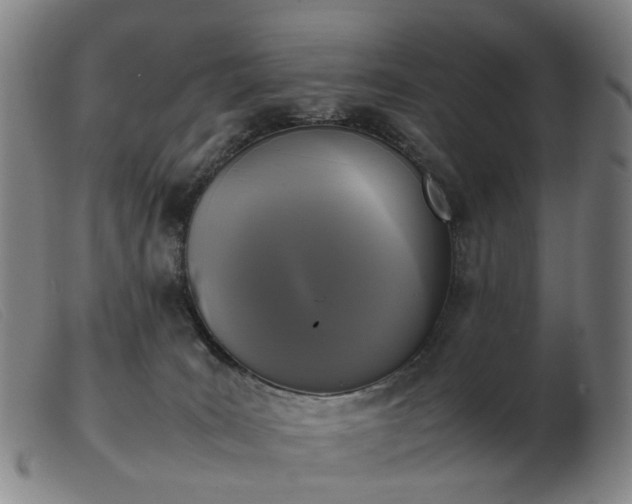 X0000103450035200809191758