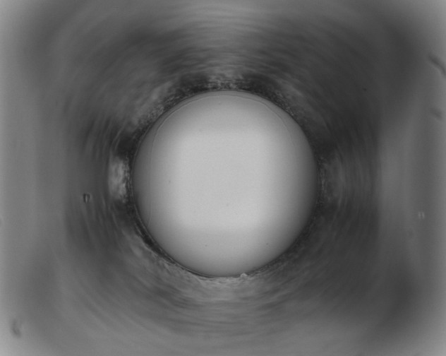 X0000103450038200809191758