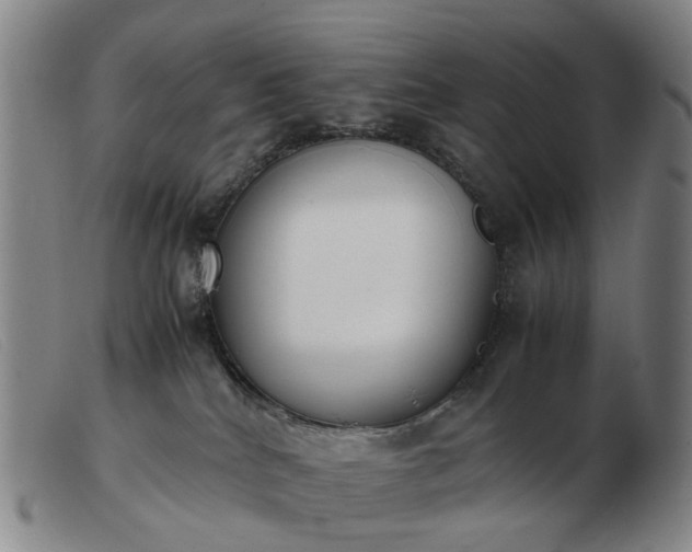 X0000103450040200809191758