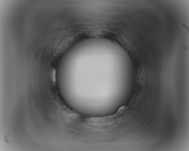 X0000103450041200809191758