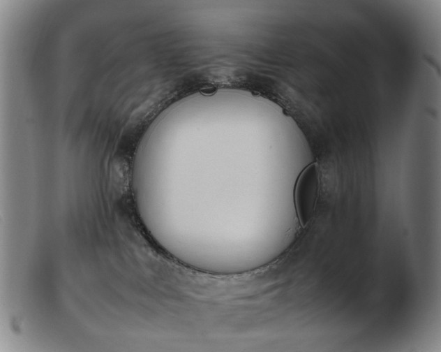 X0000103450043200809191758