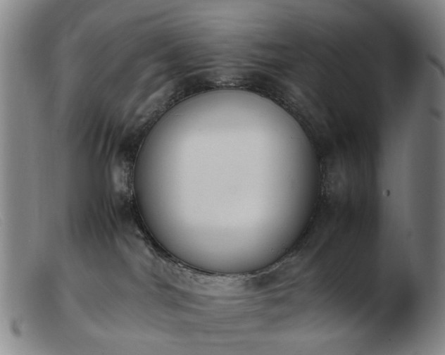 X0000103450044200809191758