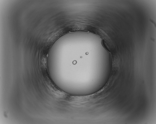 X0000103450045200809191758