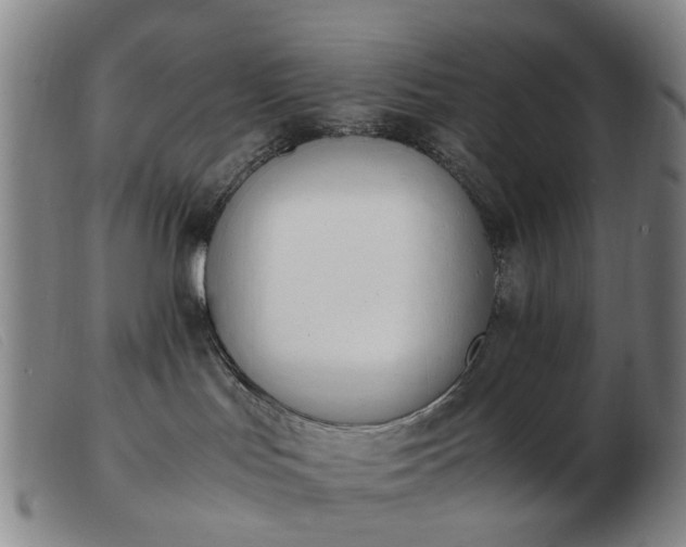 X0000103450047200809191758