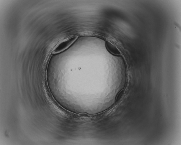 X0000103450049200809191758