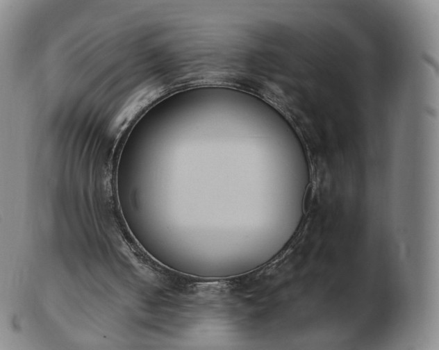 X0000103450050200809191758