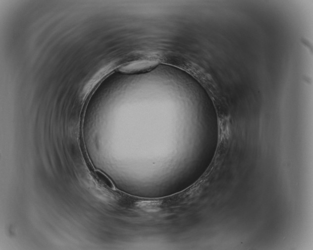 X0000103450051200809191758