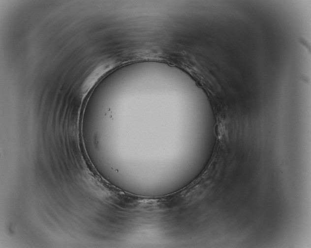 X0000103450052200809191758