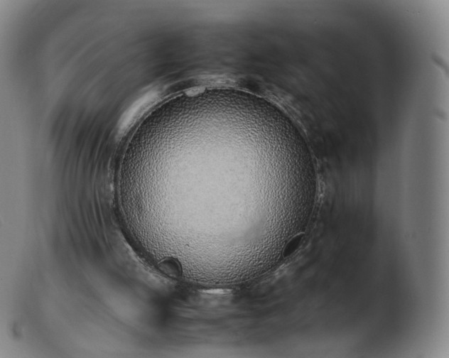 X0000103450053200809191758