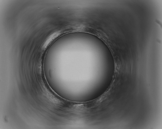 X0000103450054200809191758