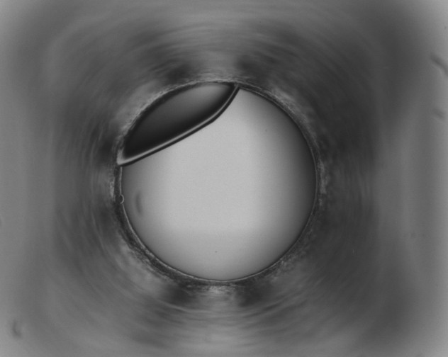 X0000103450060200809191758