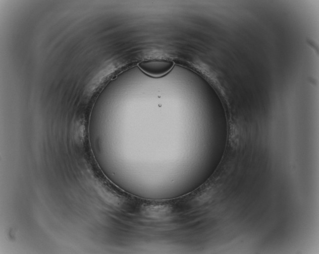 X0000103450063200809191758