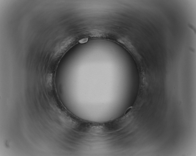 X0000103450066200809191758