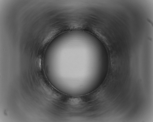 X0000103450067200809191758