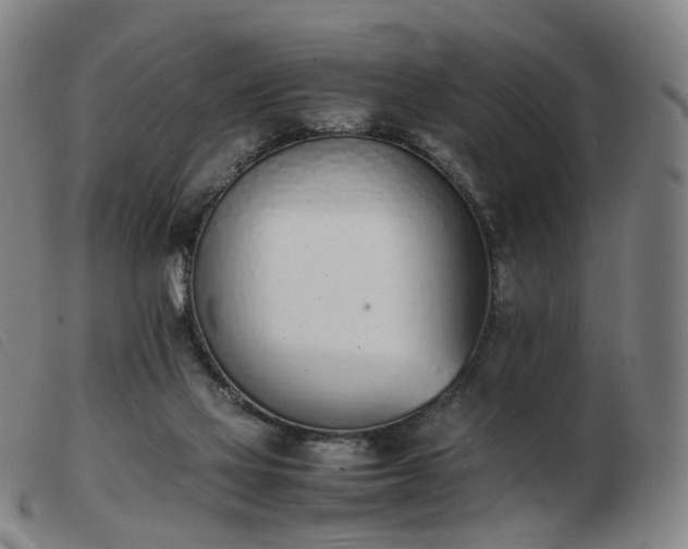 X0000103450069200809191758