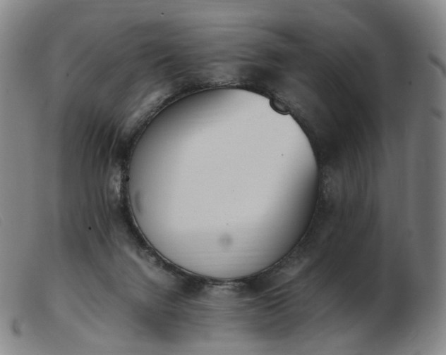 X0000103450072200809191758