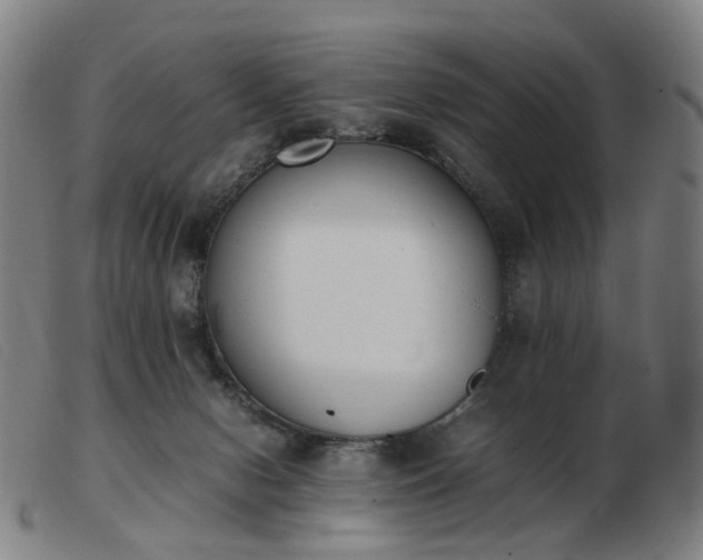 X0000103450078200809191758