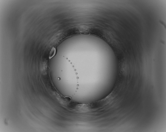 X0000103450082200809191758