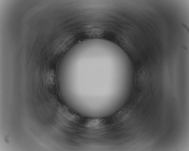 X0000103450083200809191758