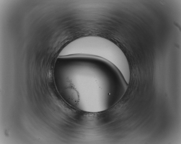 X0000103450084200809191758