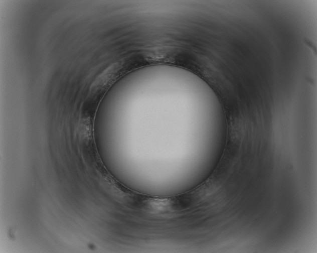 X0000103450085200809191758