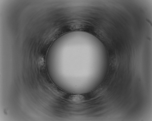 X0000103450087200809191758