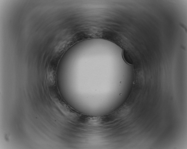 X0000103450088200809191758