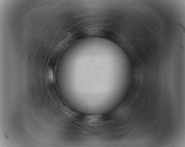 X0000103450089200809191758