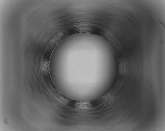 X0000103450093200809191758