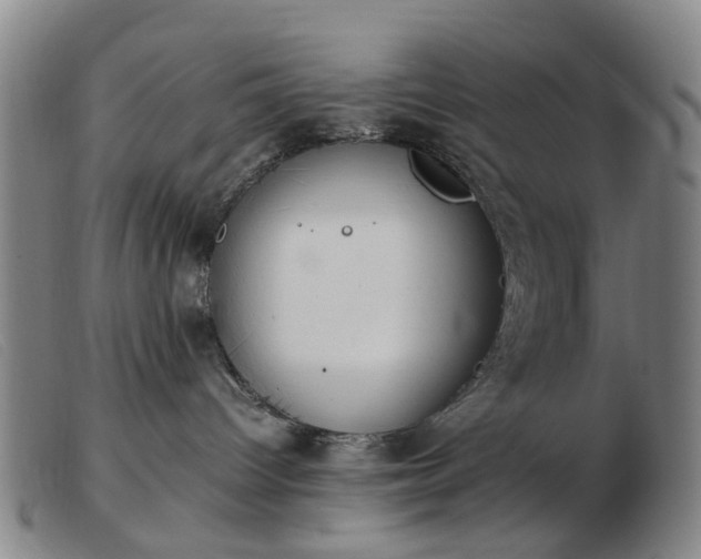 X0000103450096200809191758