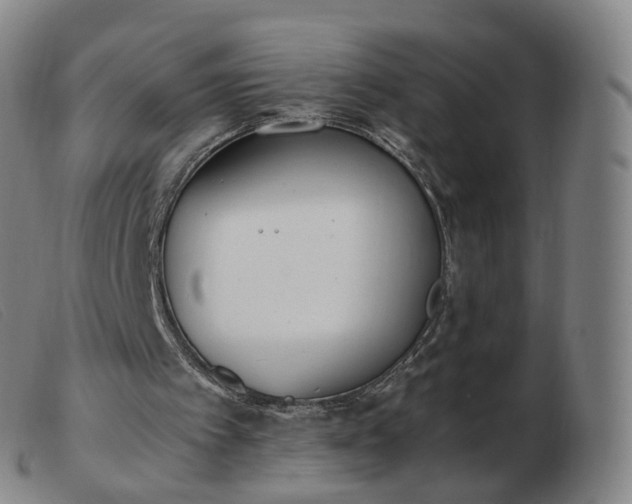 X0000103450097200809191758